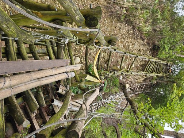 台中大坑4號登山步道2751106