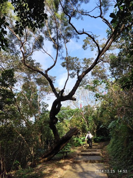 2-2 蘇澳冷泉公園→七星嶺步道→星嶺公園→蘇澳山→蘇澳運動公園→大安森林公園2678259