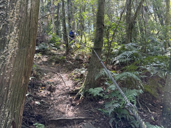 [淡蘭古道] 2026_0315 南路第三段_獵狸尖步道3017275