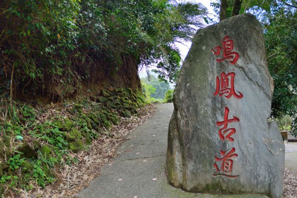 鳴鳳山古道277323