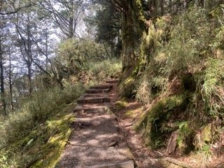 1130306大塔山步道2696751