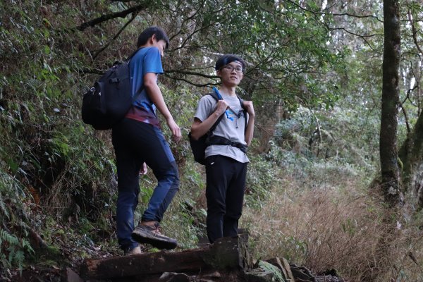 2020-12-12 八仙山1216266