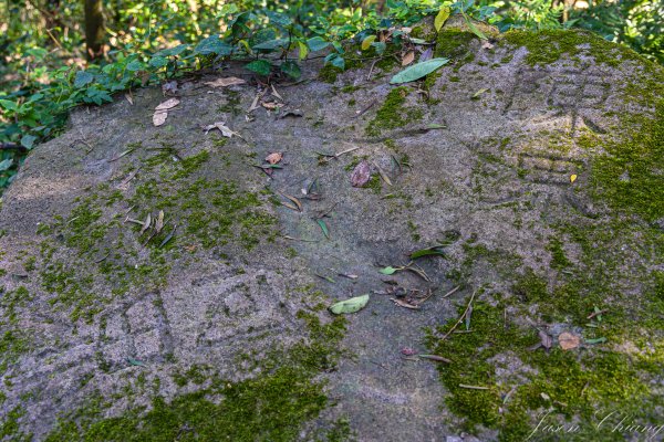 [台北]紗帽山2956588