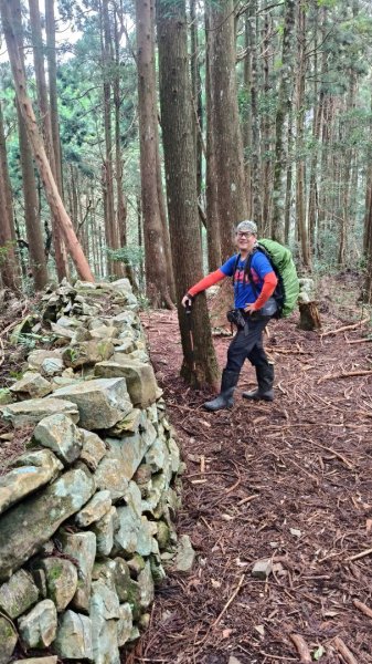 大混李棟重訓2883621