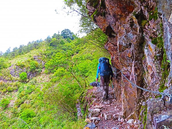 攀上台灣之巔，賞高山花海及島嶼天光1011738