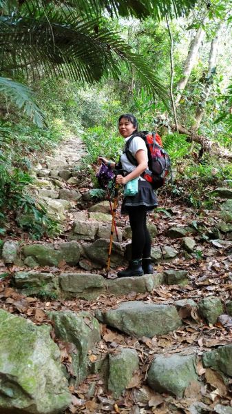 谷關七雄~東卯山292160