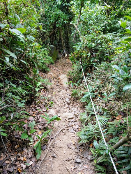 暗影山(小百岳#44)步道 2020/10/171429186