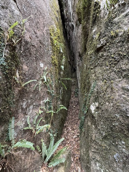 大坪祕境的奇岩2672547