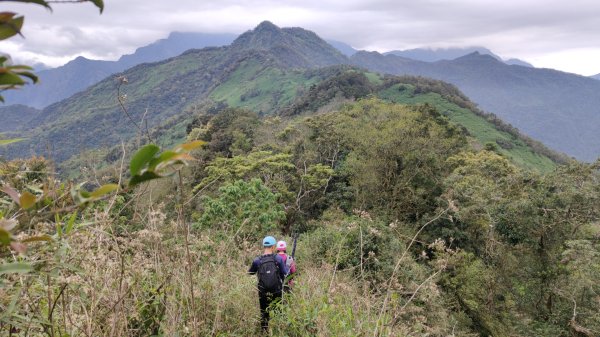 笠頂山單攻西大武山(西北峰) 九星連珠搏命演出歷險記 2025年3月20日2738999