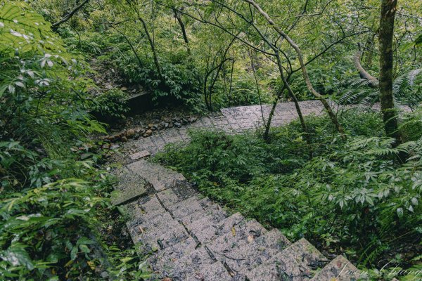 [新北]二格山2730227