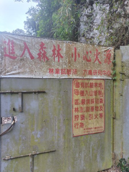 多納六秀 京大山2957613