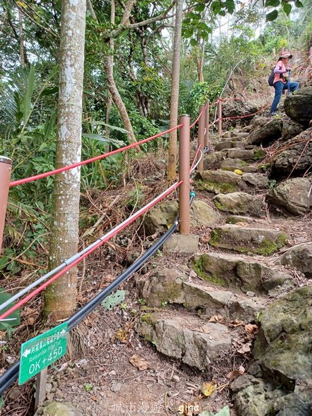 【嘉義竹崎】說好的稜線風景呢。阿拔泉山稜線步道連走獨立山O繞2684131