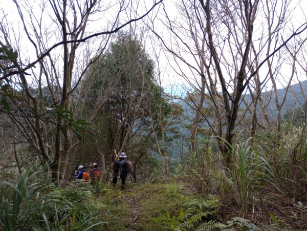 雷公埤山-鱷魚島觀景-小格頭獅頭山2001520