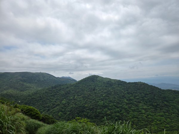面天山、向天山3045036