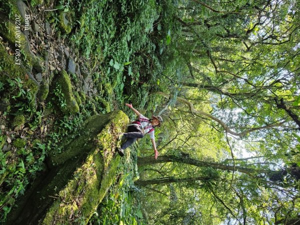 【淡蘭古道中路】崩山坑古道全段＆虎豹潭野餐2572647