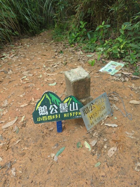 2025.07.13－漫步於森林中：鵝公髻山2835452