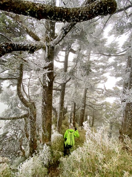 小關山海諾南山3日行--一路的霧淞美景D2  2022/1/121581061