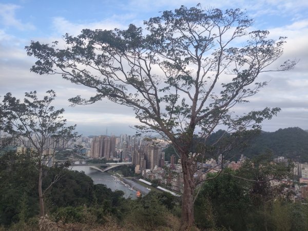 微笑山線：和美山2953981