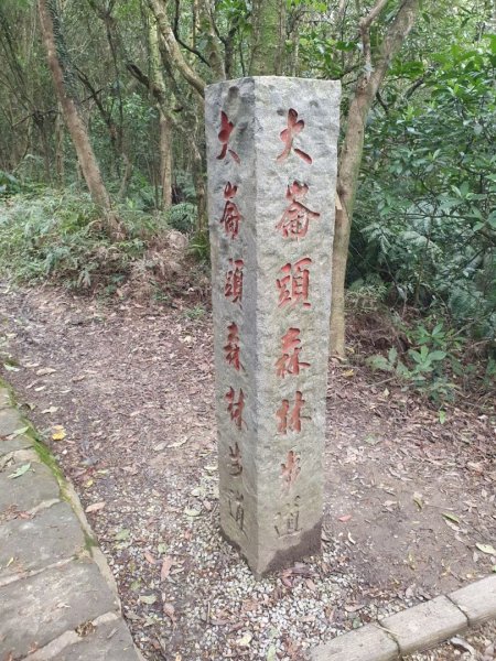 內湖大崙頭山，鯉魚山，甜水鴛鴦湖，龍船岩，開眼山，大崙頭森林步道（台北小溪頭環狀步道），碧溪步道1657302