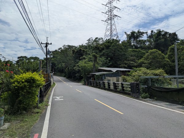 2025-06-01 五進五出九五峰2804167