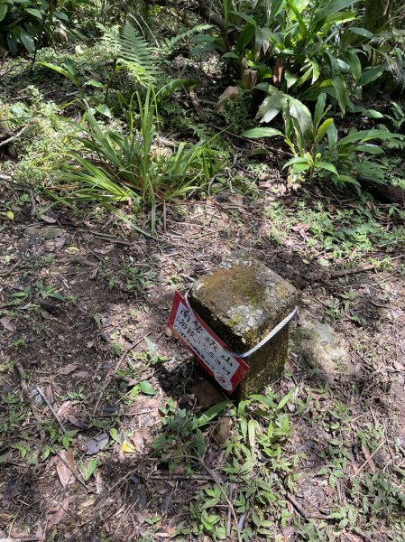 司公髻尾山2802976