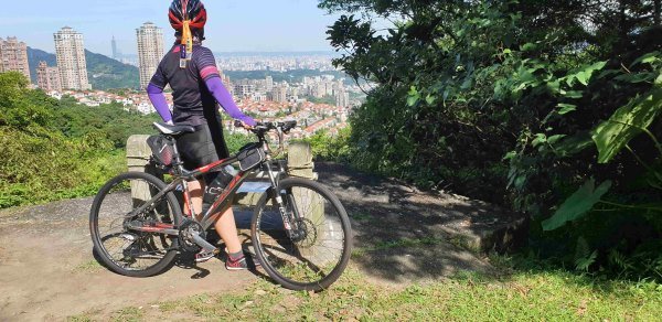 汐止和平鴿健走○型路線2882030