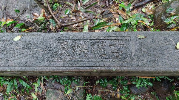 陽明山後花園，百年靜美牧牛山徑，古道草原精華連走2787718