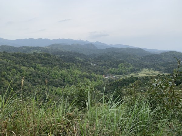 鵲子山（宜蘭礁溪）（小百岳）2530132