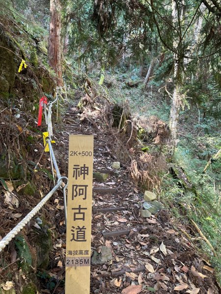 神阿古道縱走2420713