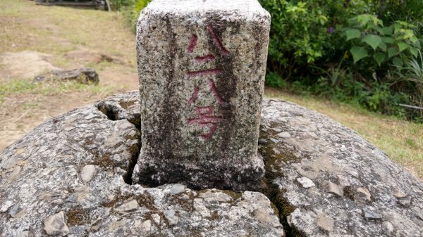 小南港山（橫科山）1016394