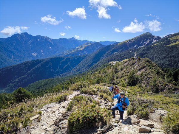 2025-11-07 合歡北峰、小溪營地、鷹石尖、北峰名樹2934328