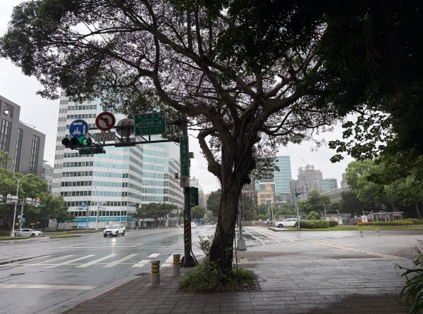 [2026臺北健走趣-04/50] 2026_0710_臺北小巨蛋3097827