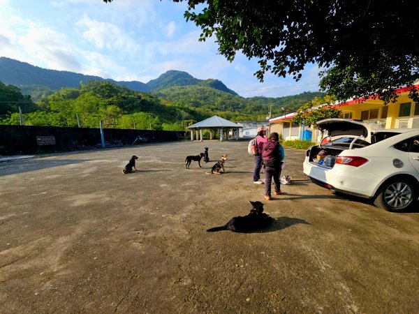 八里灣山-小百岳#91-花蓮縣豐濱鄉3019213