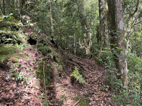 2025_0622 霞喀羅大山2819211