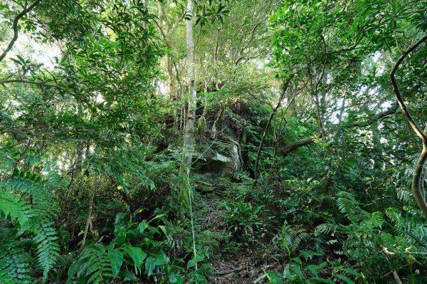 臺北 貓空圓山、貓空尖、十六分山、四面頭山、三玄宮山、鵝角格山、待荖坑山2585832