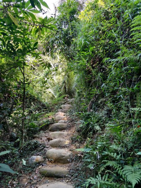 【新竹縣新埔鎮】飛龍步道2833123