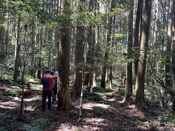 加里山隘勇線2913131