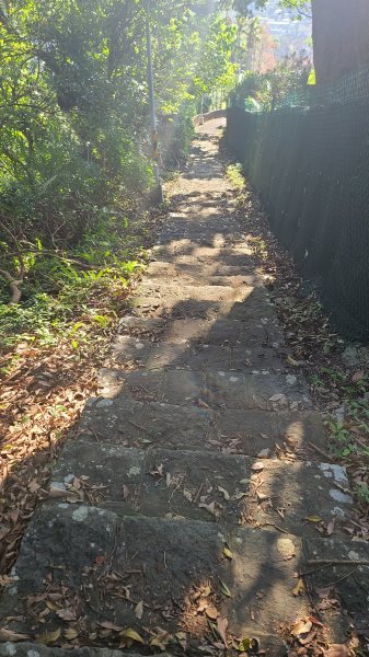 2025-0130溪和宮-大崎頭步道-鵝尾山-平溪步道-鵝尾山水田-42巷-溪山百年古圳-平菁步道2701975