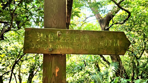 20251215林口森林步道+太平嶺海濱步道2969388