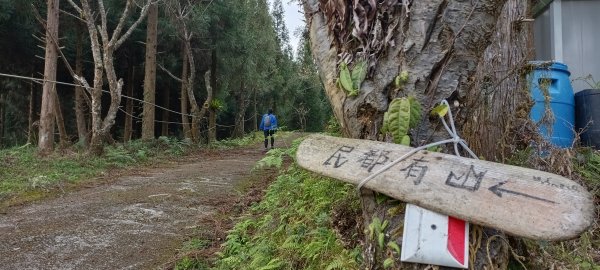 2024/03/16-民都有山步道2455066