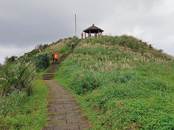 【新北-臺灣百大必訪步道】灣坑頭山→福德山→桃源谷草嶺線→大溪線→蕃薯寮山→大溪火車站封面