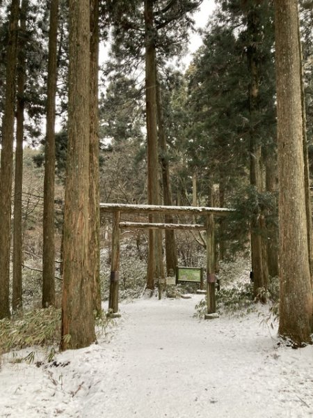 4 大阪金剛山全記錄2711085