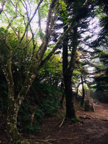 瓏美麗一週一步道（馬那邦山）558297