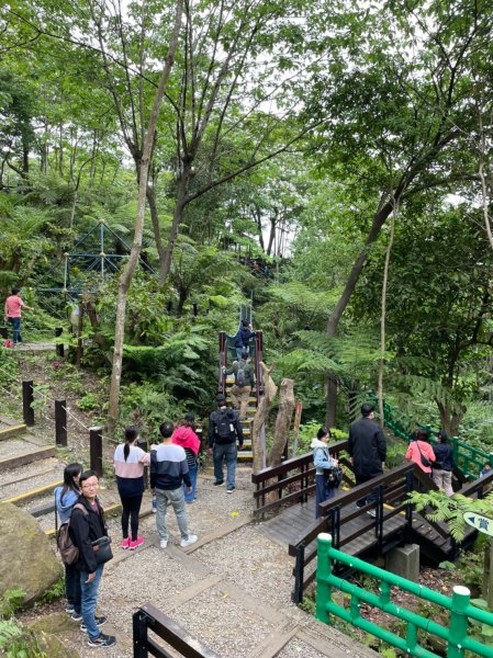 天上山緃走賞油桐花1356830