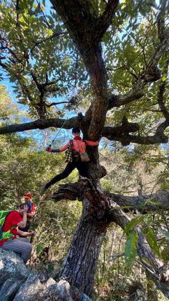 【谷關七雄】波津加(H1771.6m)肉腳配速成功2670566