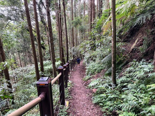 白蘭溪古道2846944