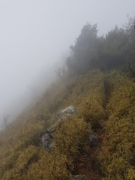 郡大山、望鄉山、西巒大山（百岳×7、8）1000307