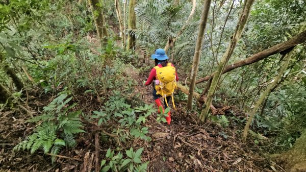 【苗栗郊山聖稜線】仙神象18連峰大縱走2675913