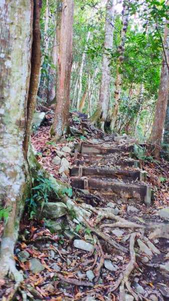 谷關七雄老大_八仙山&佳保台山1237904