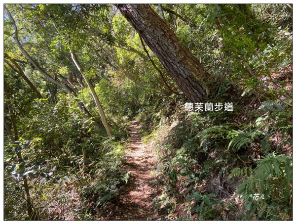 北松鶴山、德芙蘭步道 (台中 和平)2922142